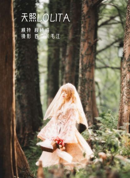 《av帝王》免费观看_高清完整版高清视频观看